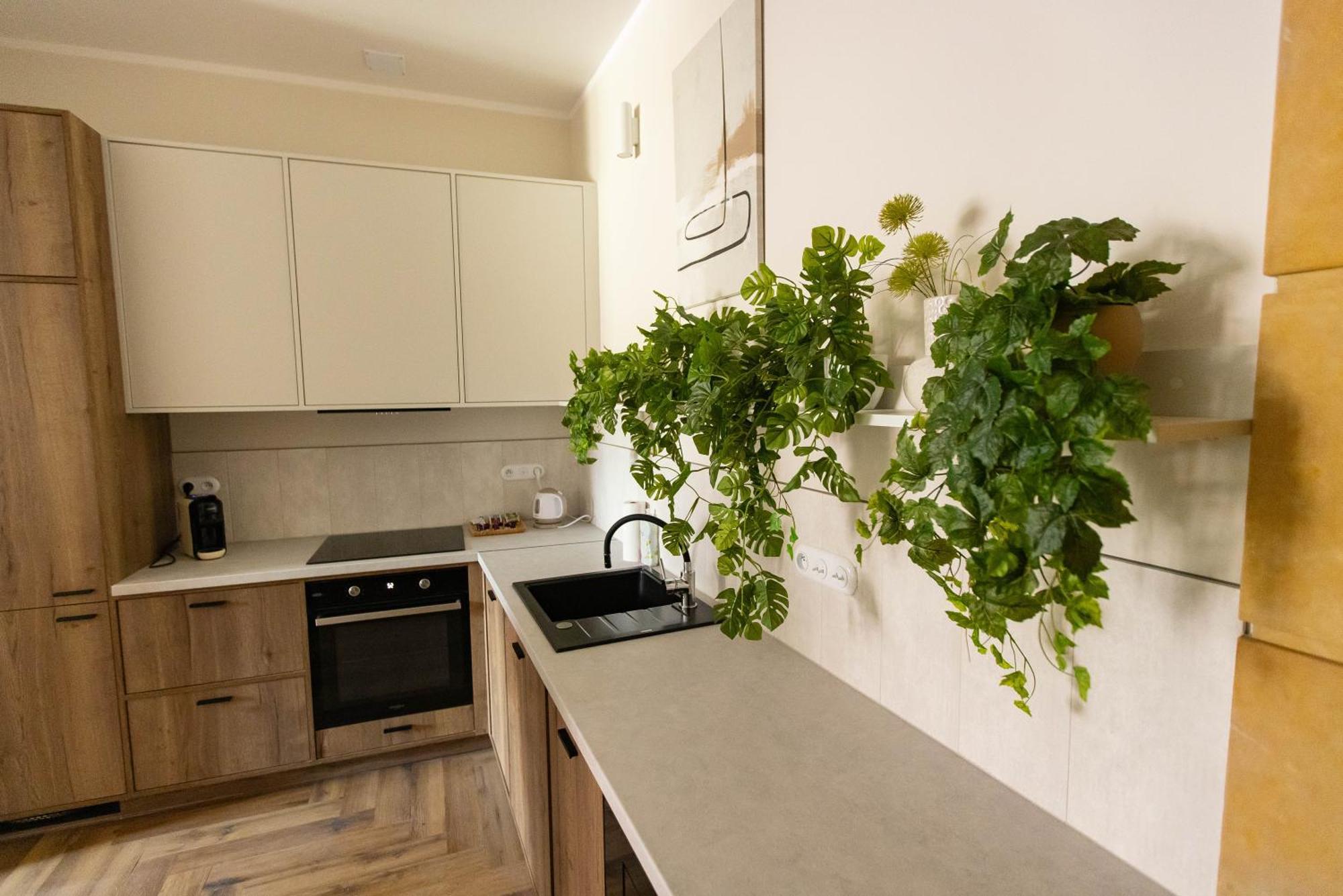 Apartamenty Rynek 12 Tarnau Exterior foto